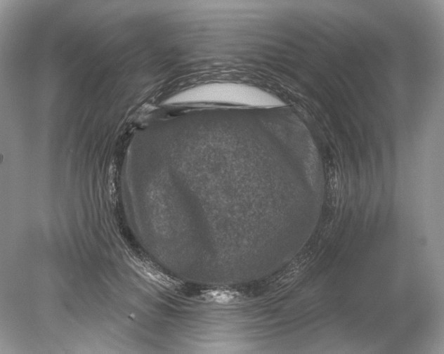 X0000078890654200612042051