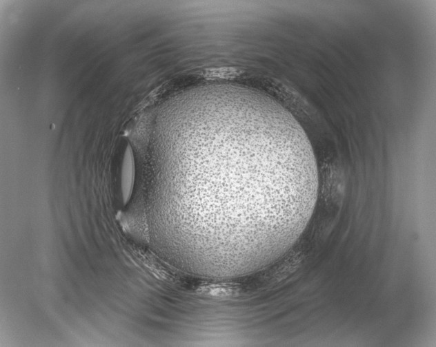 X0000078890655200612042051