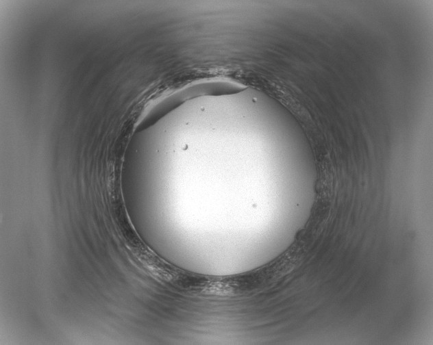 X0000078890656200612042051