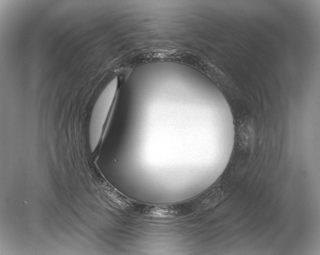 X0000078890657200612042051