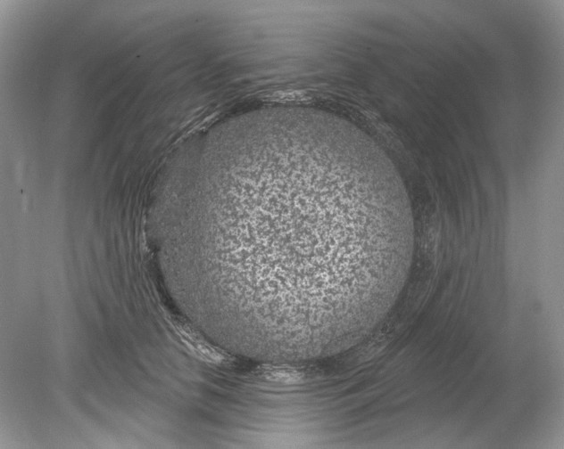 X0000078890658200612042051