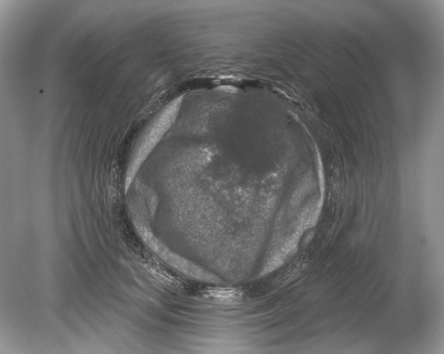 X0000078890659200612042051