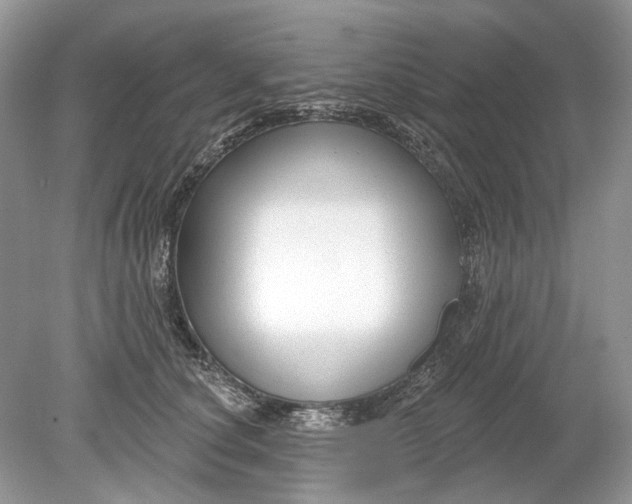 X0000078890660200612042051