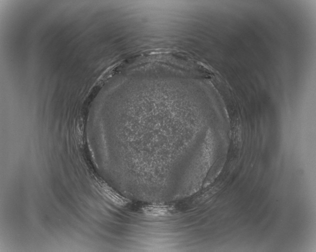 X0000078890661200612042051