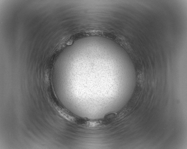 X0000078890662200612042051