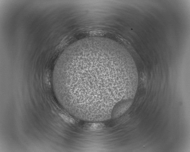 X0000078890663200612042051