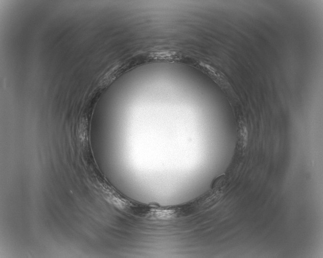 X0000078890665200612042051