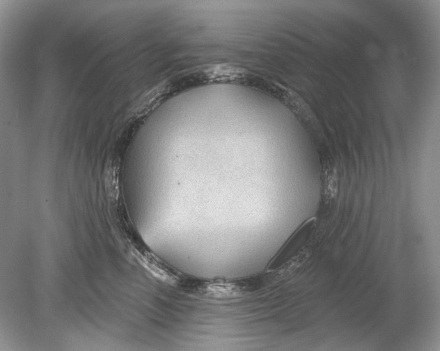 X0000078890666200612042051