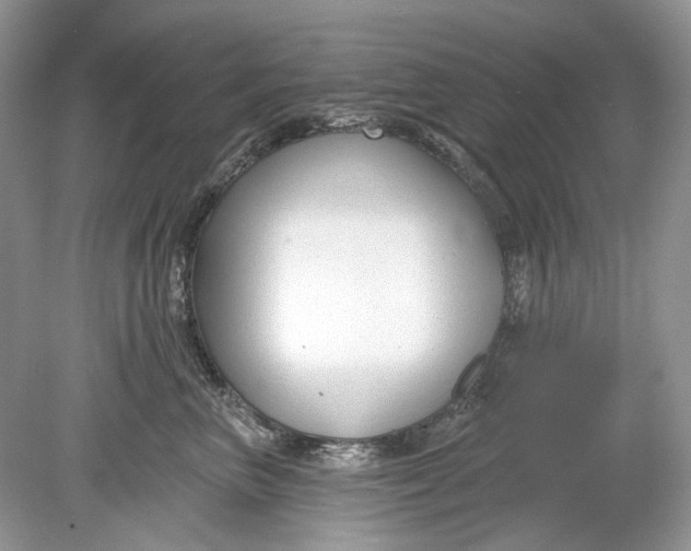 X0000078890667200612042051