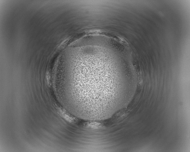 X0000078890669200612042051