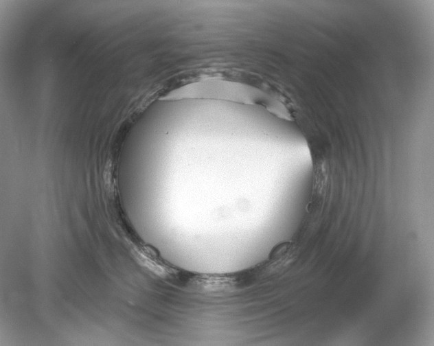 X0000078890670200612042051