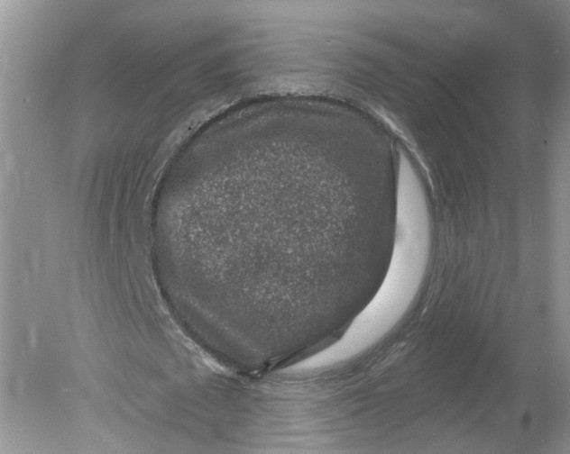 X0000078890673200612042051