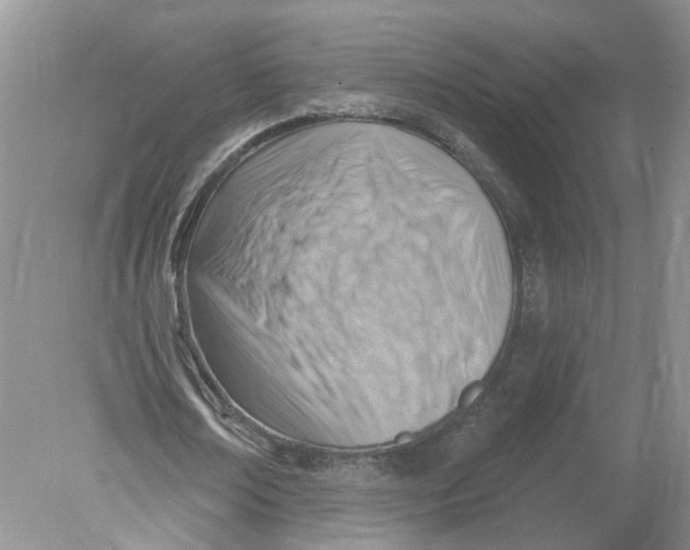 X0000078890674200612042051