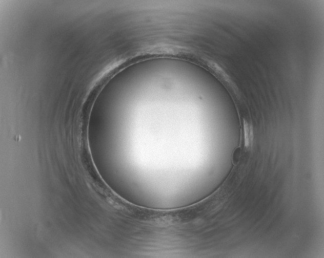 X0000078890675200612042051