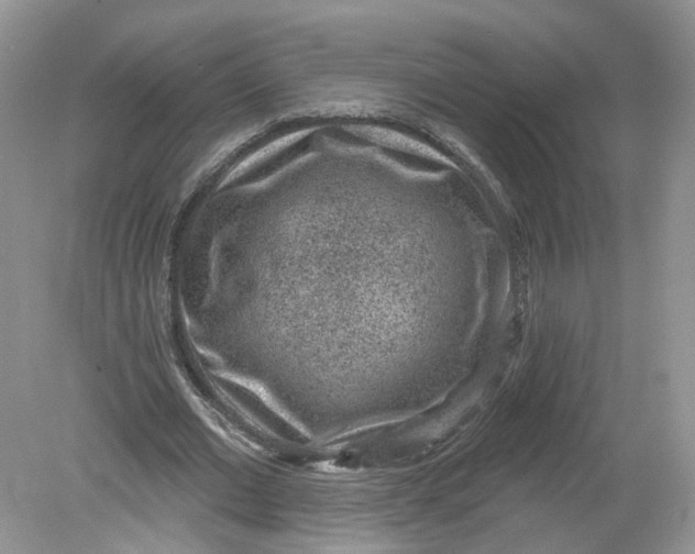 X0000078890677200612042051