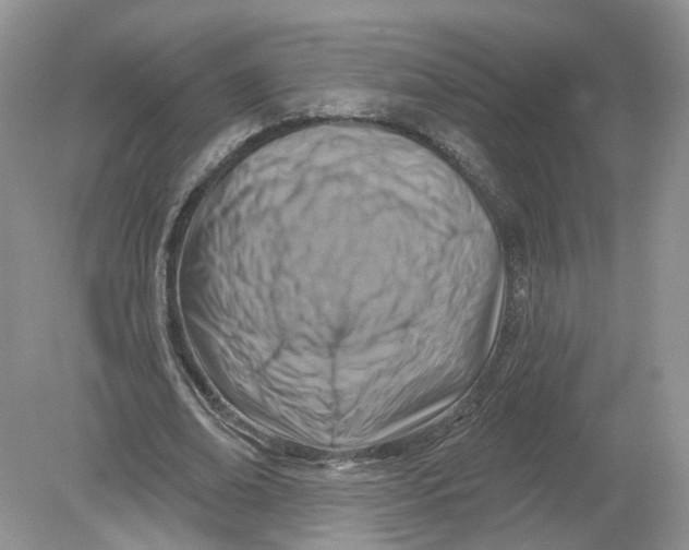 X0000078890678200612042051