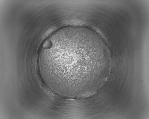 X0000078890679200612042051