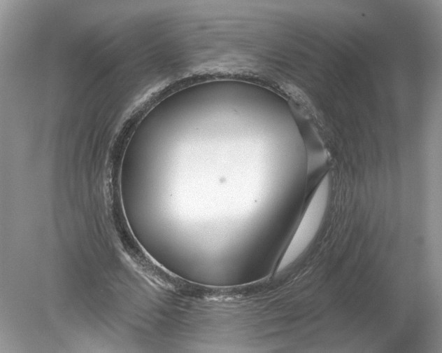 X0000078890680200612042051