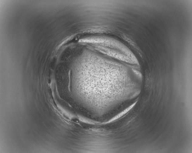 X0000078890681200612042051