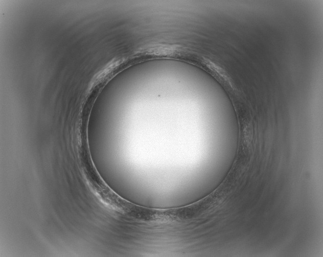 X0000078890682200612042051