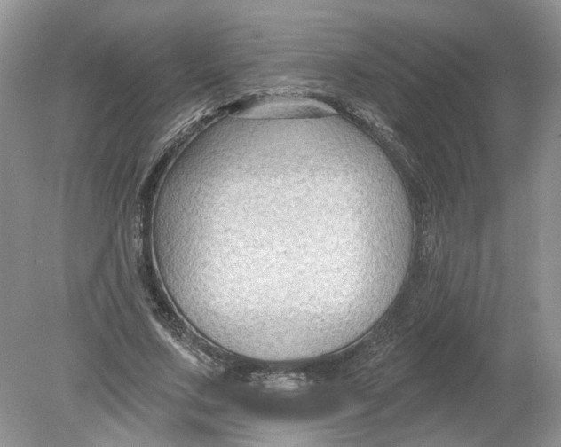 X0000078890683200612042051