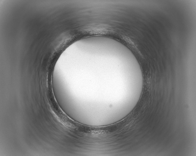 X0000078890686200612042050