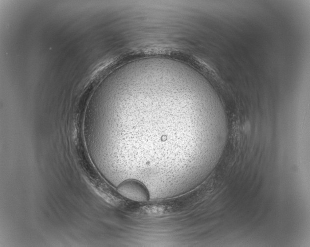 X0000078890687200612042050