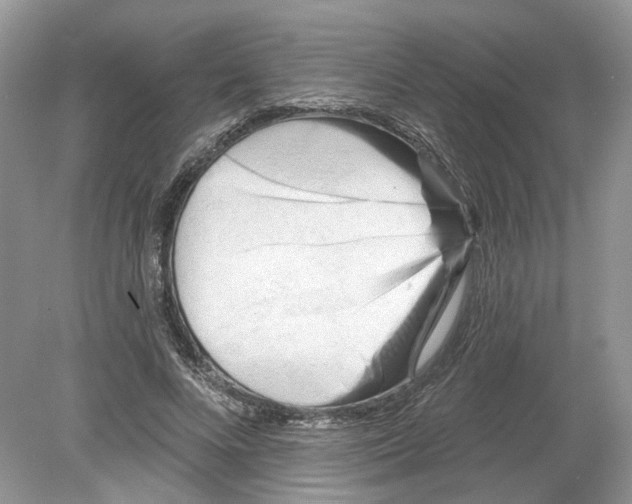 X0000078890688200612042050