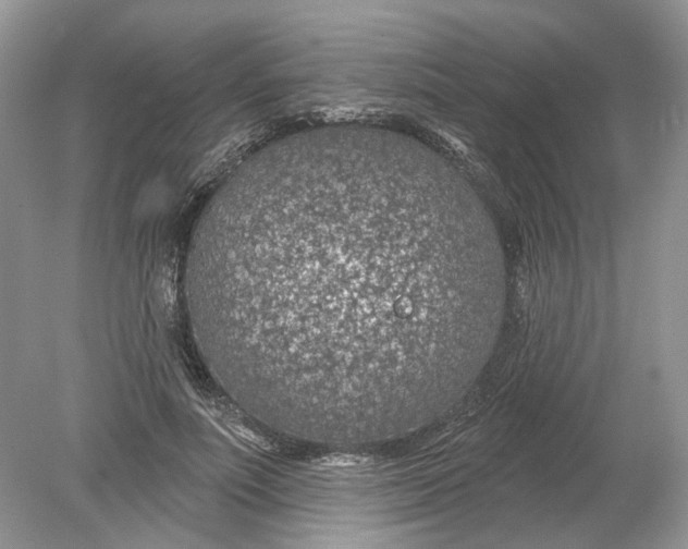 X0000078890691200612042050