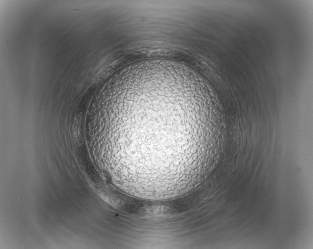 X0000078890695200612042050