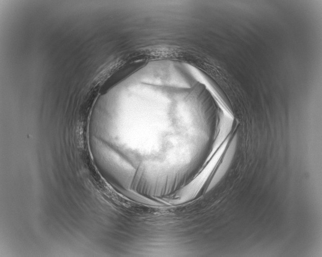 X0000078890696200612042050