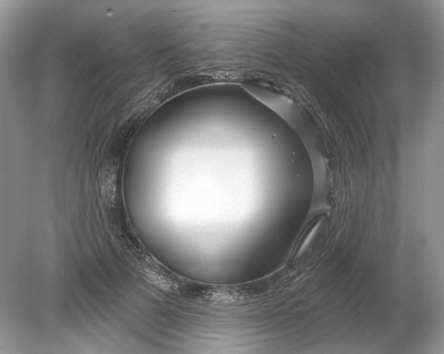 X0000078890697200612042050