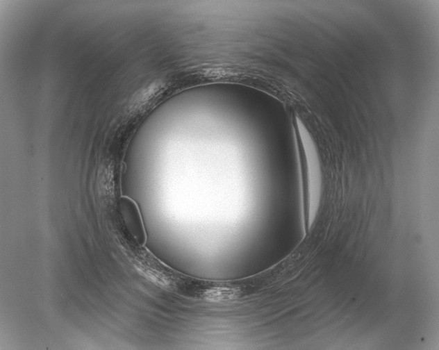 X0000078890700200612042050