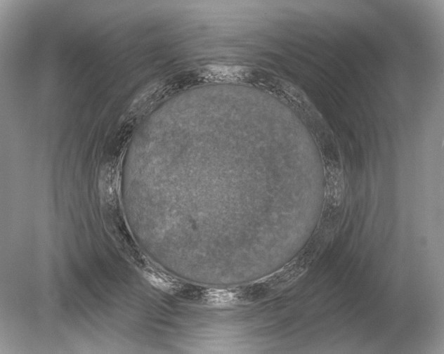 X0000078890701200612042050