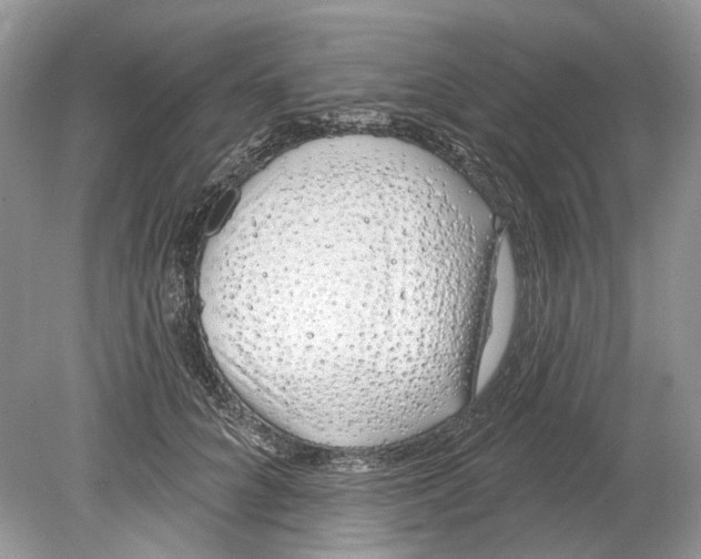 X0000078890704200612042050