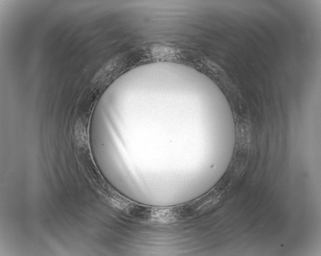 X0000078890705200612042050