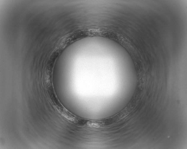 X0000078890706200612042050