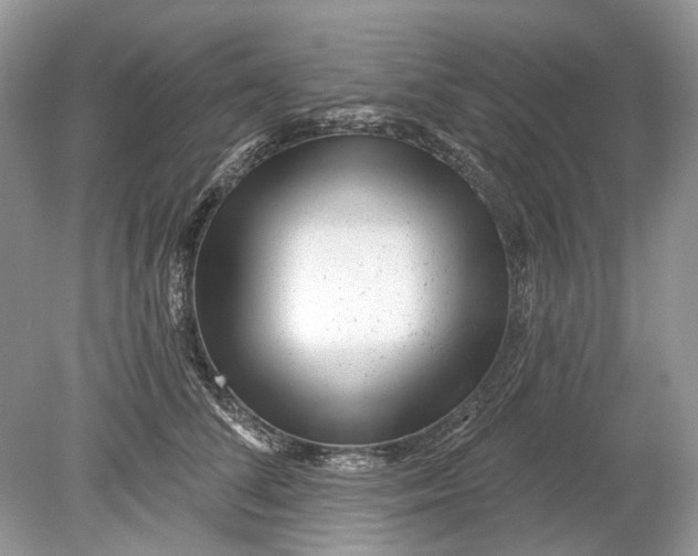 X0000078890708200612042050