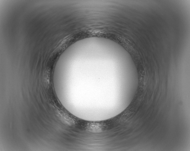 X0000078890710200612042050