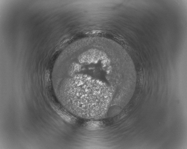 X0000078890711200612042050