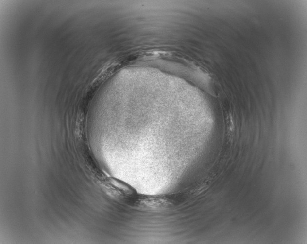 X0000078890712200612042050