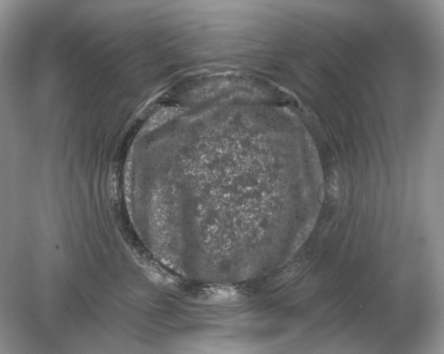 X0000078890715200612042050