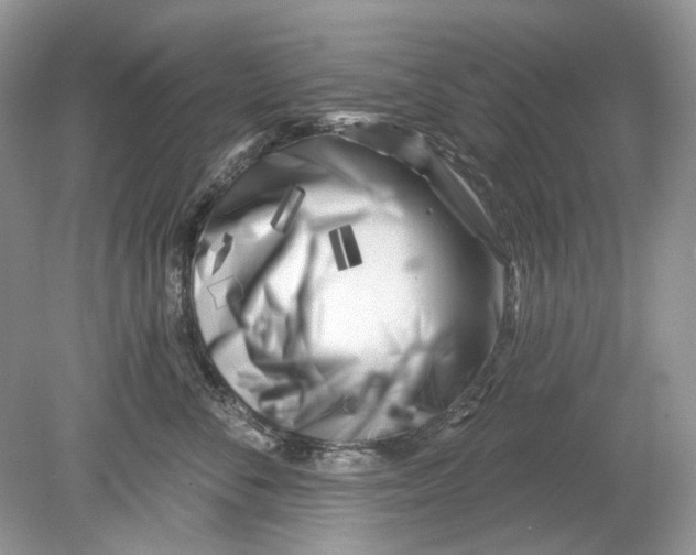 X0000078890716200612042050