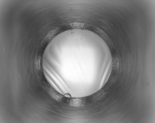 X0000078890717200612042050