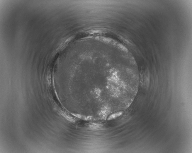 X0000078890718200612042050