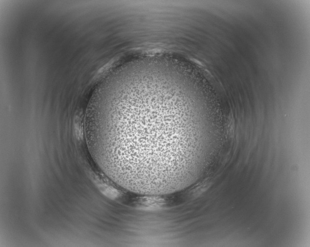 X0000078890719200612042050