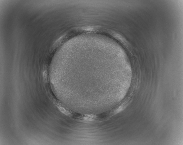 X0000078890720200612042050