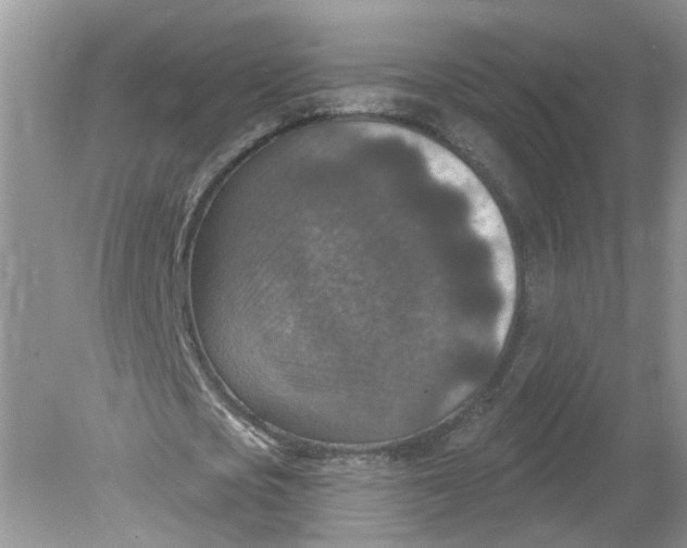 X0000078890721200612042049