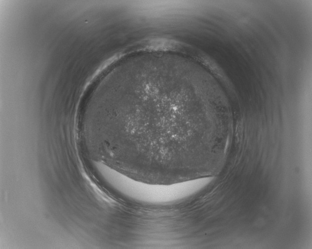 X0000078890722200612042049