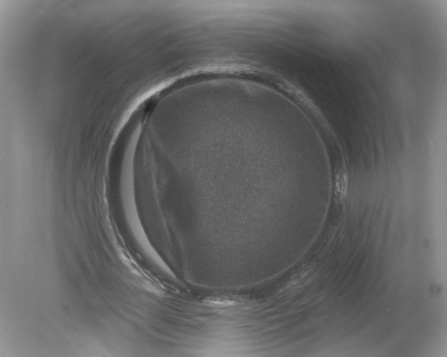 X0000078890724200612042049